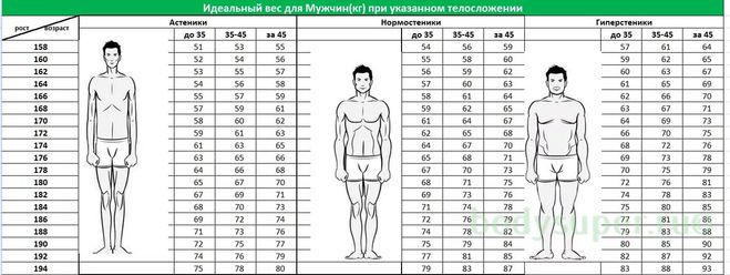 вес и рост мужчины