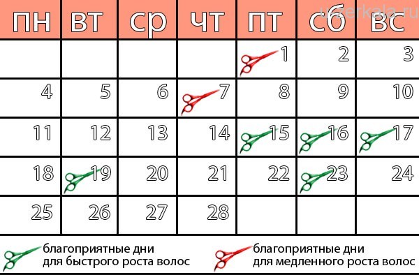 текст при наведении