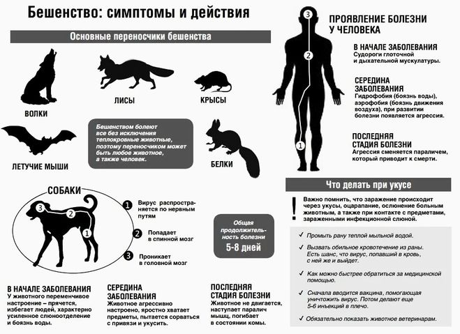 самые страшные смертельные болезни список