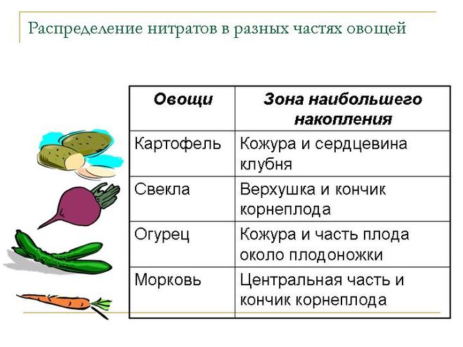 текст при наведении