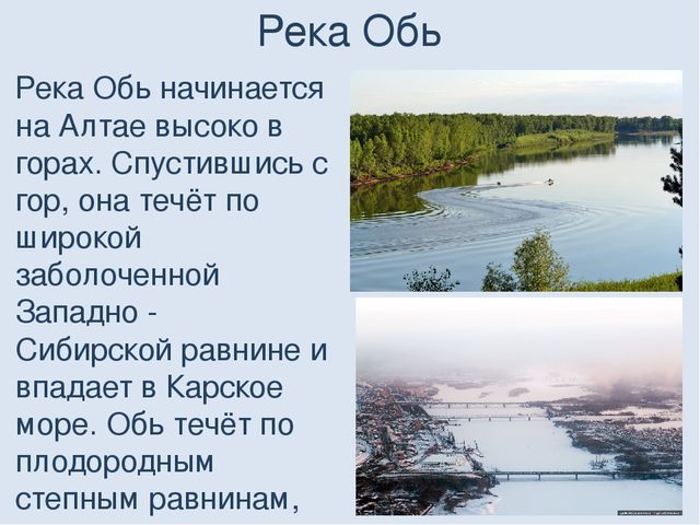 сообщение о реке Обь