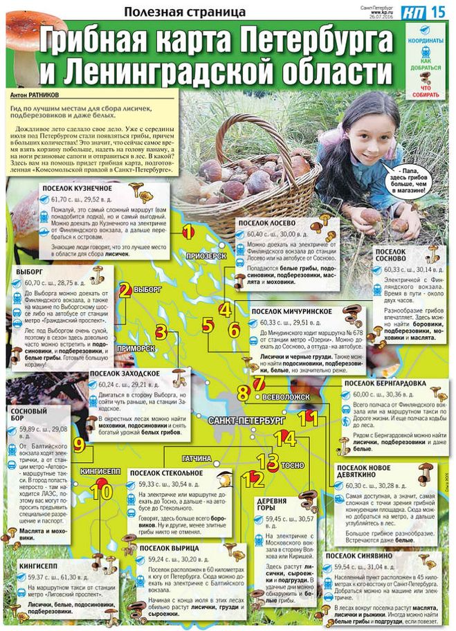 карта грибника Ленинградская область