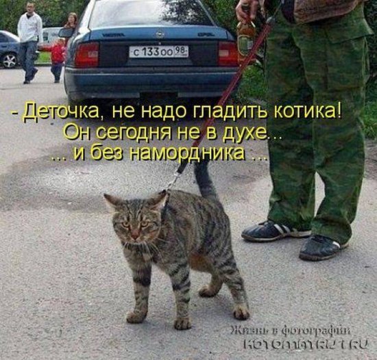 текст при наведении