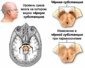 текст при наведении