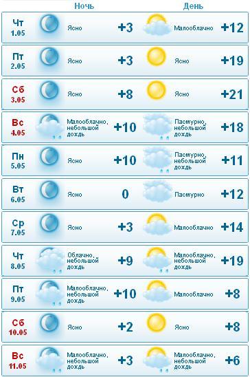 текст при наведении