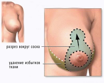 текст при наведении