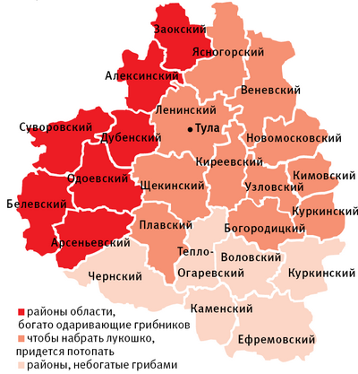 Грибы в Тульской области