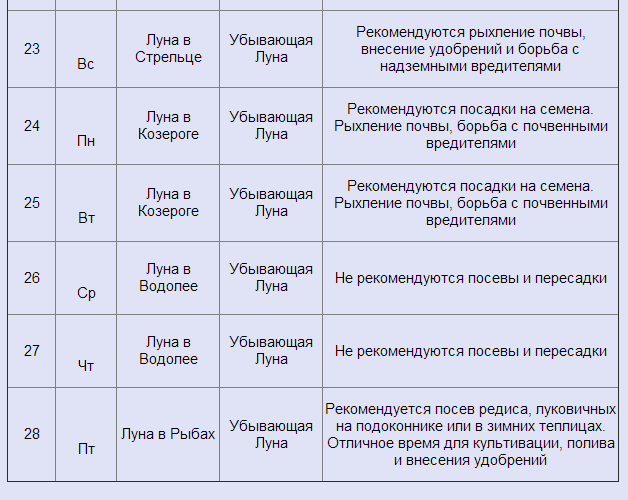 текст при наведении