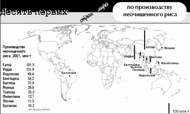 текст при наведении