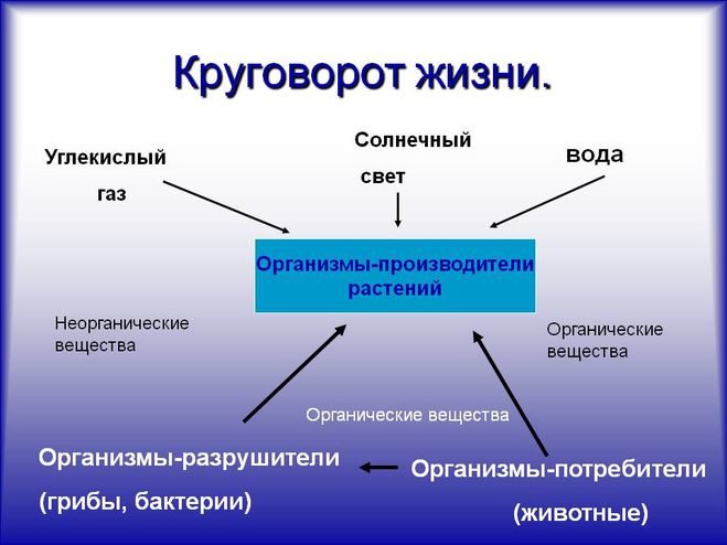 текст при наведении