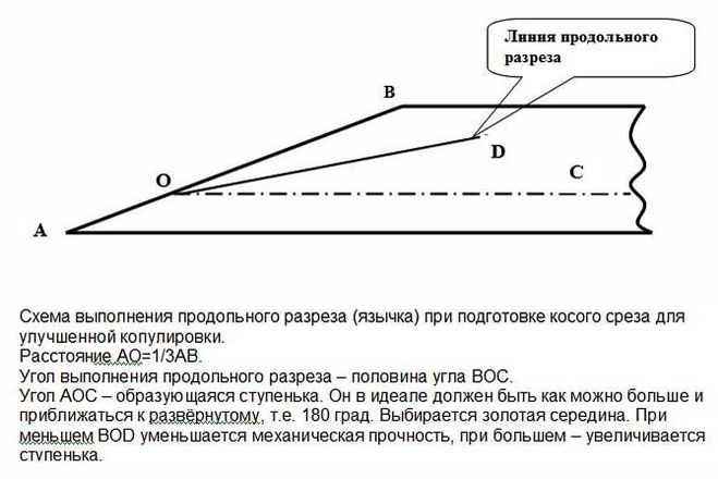 текст при наведении