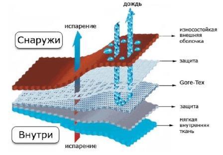 текст при наведении