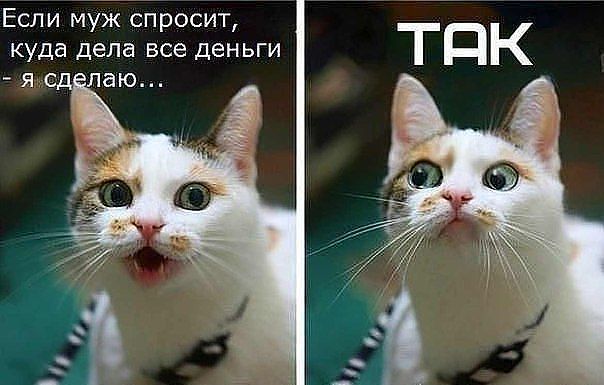 текст при наведении