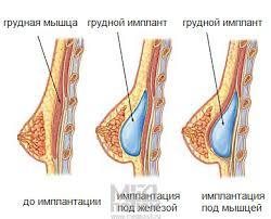 текст при наведении