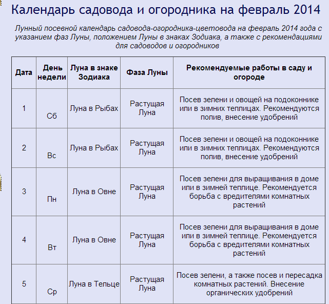 текст при наведении