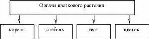 текст при наведении