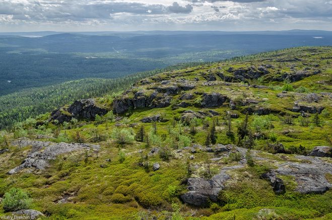 Гора Нуорунен в парке Паанаярви.