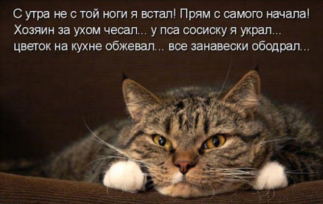 Не с той ноги я встал сегодня - подумал Витька Иванов, Когда очнулся в подворотне с разбитой рожей без штанов. . Вот если б встал с другой он утром - тогда бы рожу не разбил; В штанах бы шастал он уютных и может подвиг совершил!..