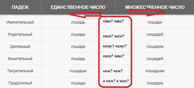 Печь множественное число именительный падеж. Винительный падеж множественного числа. Просклонять по падежам слово лошадь.