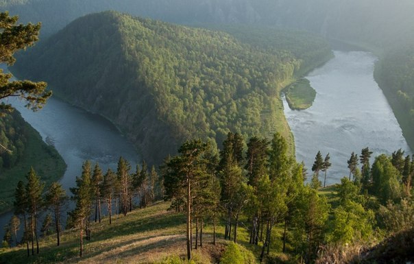 текст при наведении