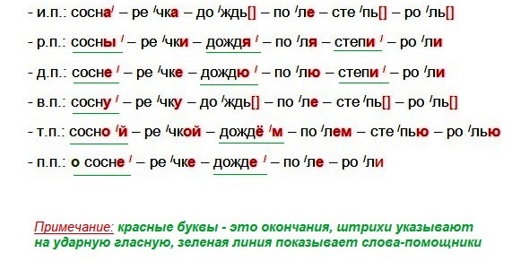 как склоняются слова сосна, речка, дождь, поле, степь, роль по падежам, какие в них окончания ударные и безударные, слова-помощники