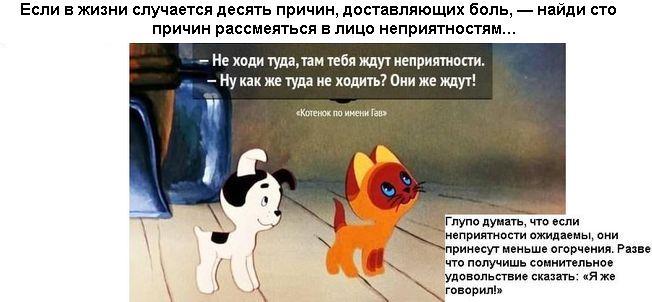 текст при наведении