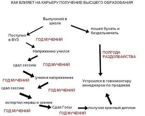 как влияет на карьеру получение высшего образования