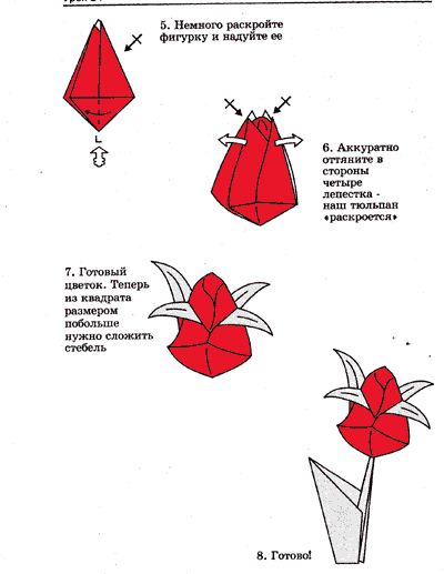 текст при наведении