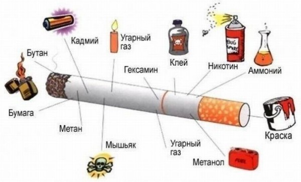 текст при наведении