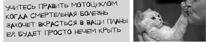 Как оригинально ответить на вопрос: "Нечем крыть?"?