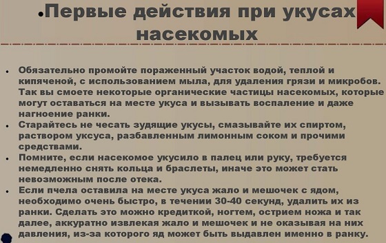 Сообщение про укусы насекомых