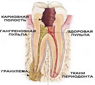 текст при наведении