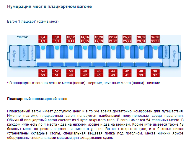 текст при наведении