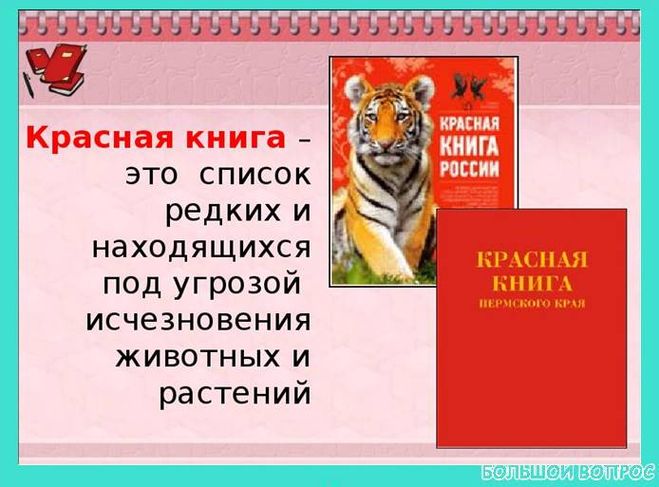 доклад по страницам красной книги