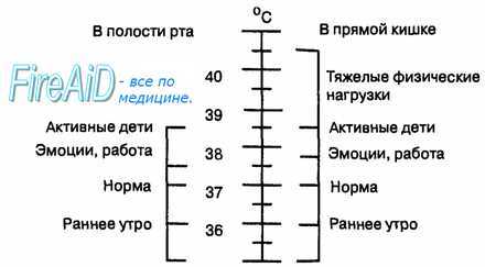 текст при наведении