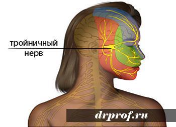 текст при наведении