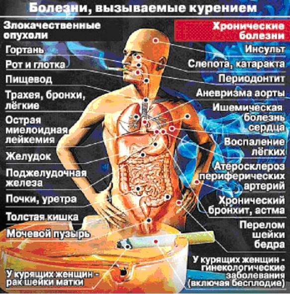 текст при наведении