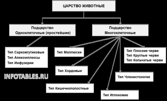 Возможно вам поможет эта таблица