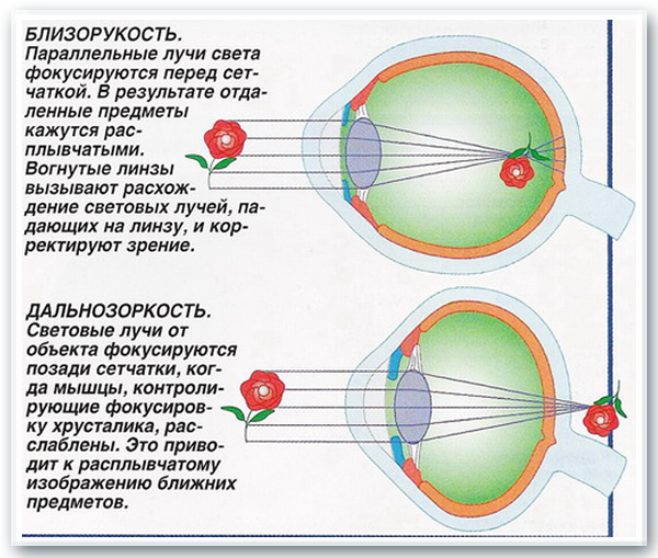 текст при наведении