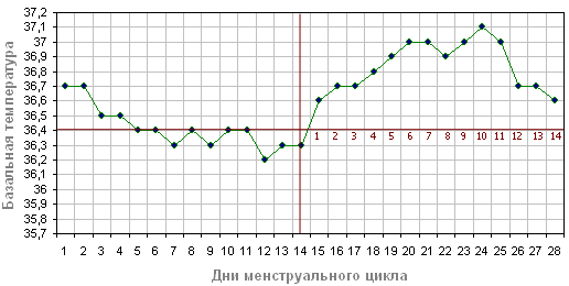 текст при наведении