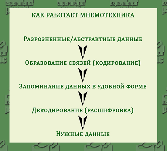 Мнемотехника. Суть. Как работает.