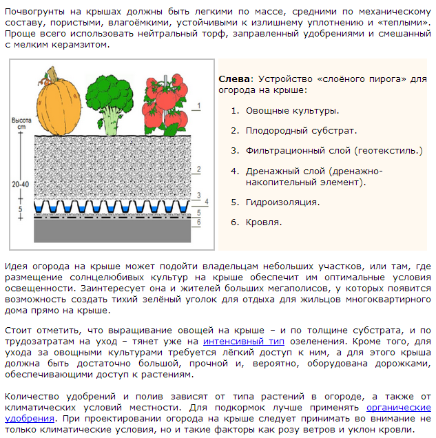 текст при наведении