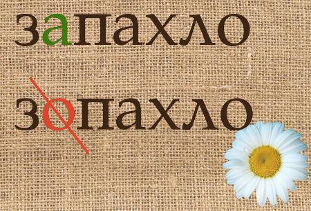 Запах проверь слова. Какое проверочное слово к слову запах. Проверочное слово проверочное слово. Запах проверь слова. Проверочные слова.