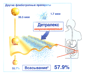 текст при наведении