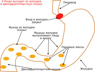 текст при наведении