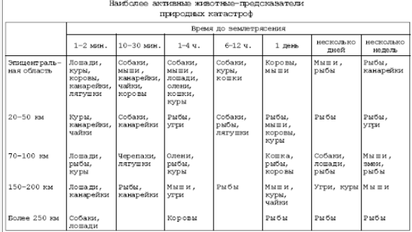 текст при наведении