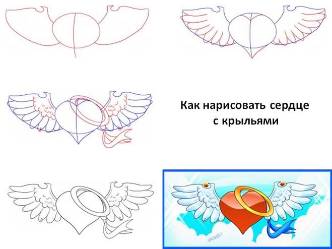 как нарисовать сердце поэтапно