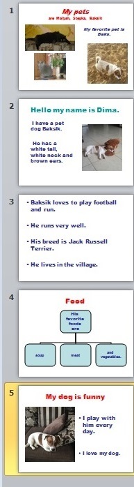 Как сделать презентацию на английском языке о домашнем питомце - 5 класс?