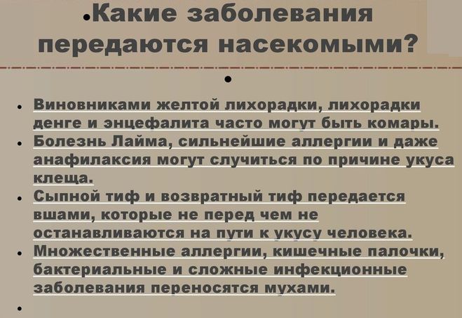 Доклад на тему Укусы насекомых и защита от них