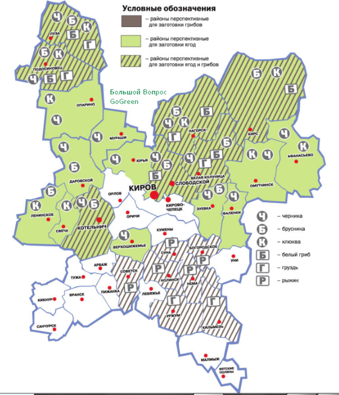 карта грибных и ягодных мест Кировской области